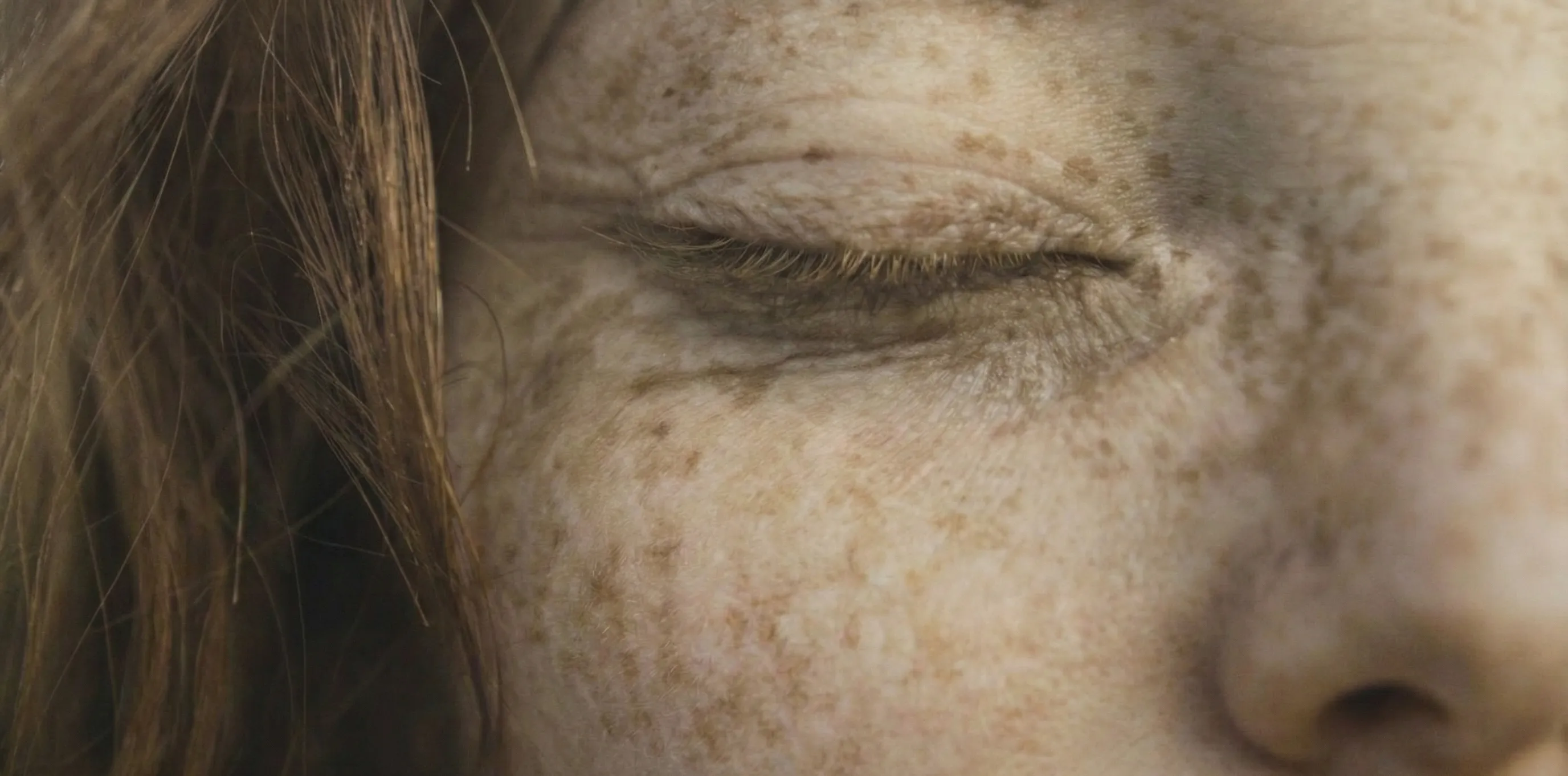 Gros plan sur la peau — texture et grain de peau
